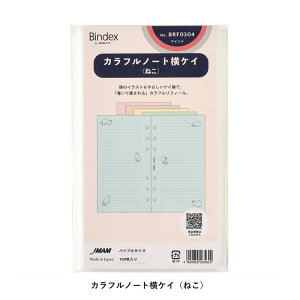 oCuTCY VXe蒠ptB Jtm[g PCi˂jyBRF0304z5Fe20v100 6 TCYF171×95mm TCY oCfbNX Bindex by NOLTY JMAM {\