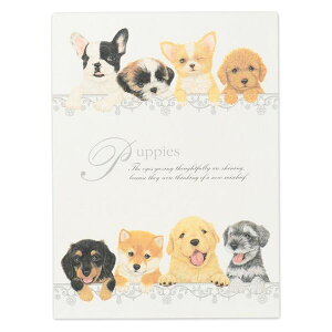 PK A5 ps[Y qy3050401z2A\[g16ie8jrir䎆jPuppiesKittens  ЃGkr[ NBЁy[֑Ή\z