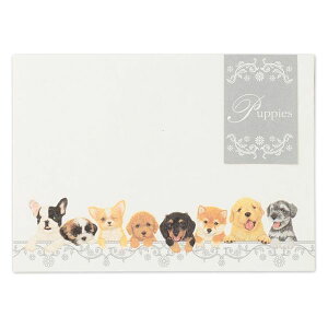 PK  ps[Y qy3056901z萔F4 X֔ԍgȂ PuppiesKittens  ЃGkr[ NBЁy[֑Ή\z