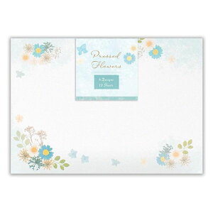   ԁ@u[y4406902z萔F4A\[g12ie3jX֔ԍgȂ ЃGkr[ NBЁy[֑Ή\z