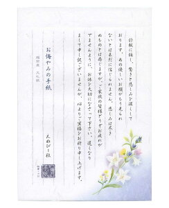  c ݁y5300208z萔F18 `邫B5 c250×173mm ЃGkr[ NBЁy 4܂Ń[֑Ή\ z