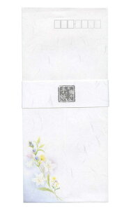  c^ ݁y5301208z玆 萔F5 ^4 c205×90mm X֘g  `邫 ЃGkr[ NBЁy[֑Ή\z