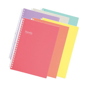 Pastello pXecCXgm[g 30 A5^e^ S^yN-1958z24 6mm 29s p[t30t S6F [WEbhECG[Ep[vEx[WECgO[iN1958j1/3C`sb`V