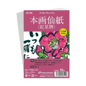 }} G莆p a A[gy[p[ |XgJ[hTCY {历 gvyS135Cz10 YF{ marumany[֑Ή\z