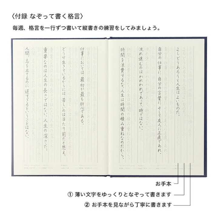 楽天市場 ミドリ 日記 縦書き フリー 006 紺 ブルー デザインフィル 日記帳 べるえぽ