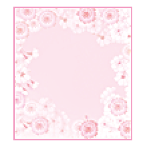  F y 33157006 zmidori shikishi ЃfUCtB ~hJpj[