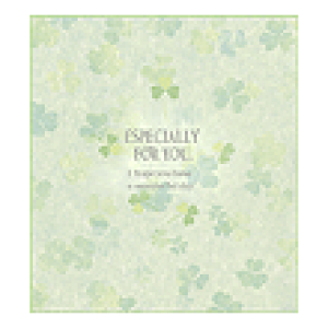 N[o[ ܂F y33140006z midori shikishi ЃfUCtB ~hJpj[