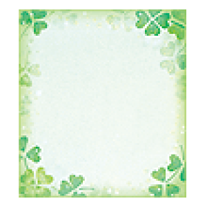  N[o[ F y33116006z~h midori shikishi ЃfUCtB