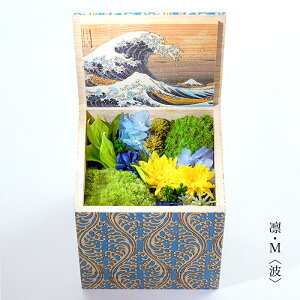 �v���U�[�u�h�t�����[ �M�t�g �P�[�X���� �� ���� �R�P ���� �k�� �˔� �{�b�N�X�t�����[ �a���_�� �����G �M������ �_�ސ쉫�Q�� �x�ԎO�\�Z�i �O�� �C�O �v���[���g ���� ���� arg boxflower �o