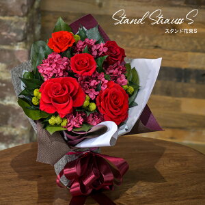 vU[uht[ Mtg j u[P o ԑ v[g  sN v|[Y a uU[uh  NX}X ̓ ̓ hV j I JƏj JXj Vzj 