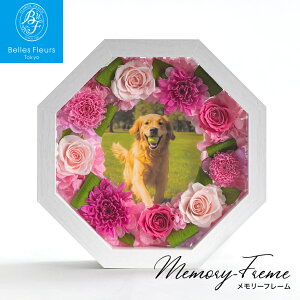 vU[uht[ Mtg P[X a  tHgt[ o Mtg v[g uU[ht[ COVER frm JƏj JXj Vzj ސEj ٓ j } @l A