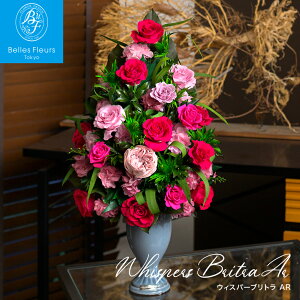 yʌzoׁuEBXp[ugARvvU[uht[ ͂Ȃ sN p[v o AWg CeA rO  ItBX ʑ v[g 蕨 a J