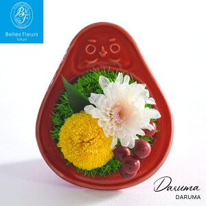 ys\z11/19ȍ~͂ vU[uht[ DARUMA  VN }t  2026N u N J^ ^C Abv N N Nn N  Mtg  uU[uh a t t