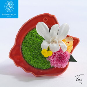 ys\z11/19ȍ~͂ vU[uht[ TAI  VN }t  2026N u N J^ ^C Abv N N Nn N  Mtg  uU[uh a t tߏ 