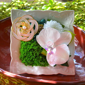 vU[uht[ ̂Ђ̉  Ӓ VN }t  2026N u N J^ ^C Abv N N Nn N  Mtg  uU[uh a t tߏ tߍ 