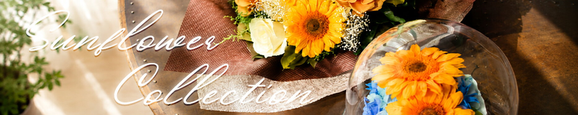 Sunflower Collection