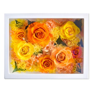 Ήut[2LvvU[uht[ Ǌ| Mtg P[X  a  Mtg v[g COVER frm ̓ ̓ hV  J JX Vz ސE ٓ j } 