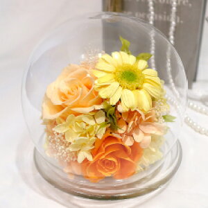 ̓ vU[uht[ Mtg P[X KXh[ a  v[g uU[uh arg  JƏj JXj Vzj ސEj ٓ j } lC K[x  