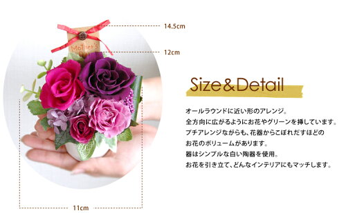★ポイント5倍★【あす楽対応】♪クリアケース入り♪新花器Amie(アミ)【送料無料】母の日/父の日/敬老の日/ハロウィン/クリスマス/誕生日/結婚祝い/出産祝い/開業祝い/内祝い/05P28oct13fs3gm