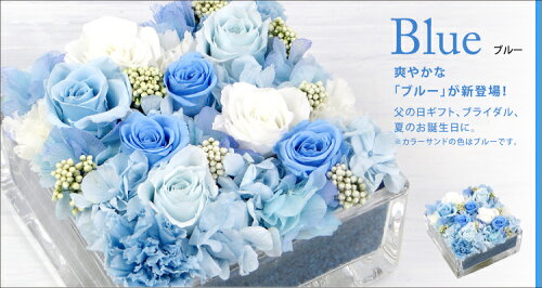 プリザーブドフラワー/05P30May15父の日ギフト/★★【送料無料】ブリック・スクエア母の日/父の日/誕生日/結婚祝い/出産祝い/開業祝い/新築祝い/内祝い/バレンタイン/ホワイトデー/【楽ギフ_メッセ入力】/arg/