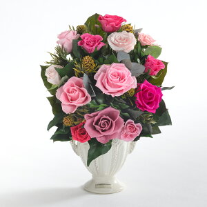 @l җ uuAgvvU[uht[xEt[ SݓX  o bh sN p[v F l ̂ ĎD bZ[WJ[hMtg P[X  ^ 