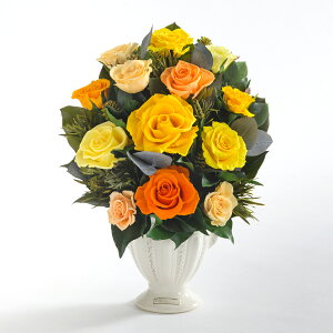 @l җ uuAgvvU[uht[xEt[ SݓX  o bh sN p[v F l ̂ ĎD bZ[WJ[hMtg P[X  ^ 