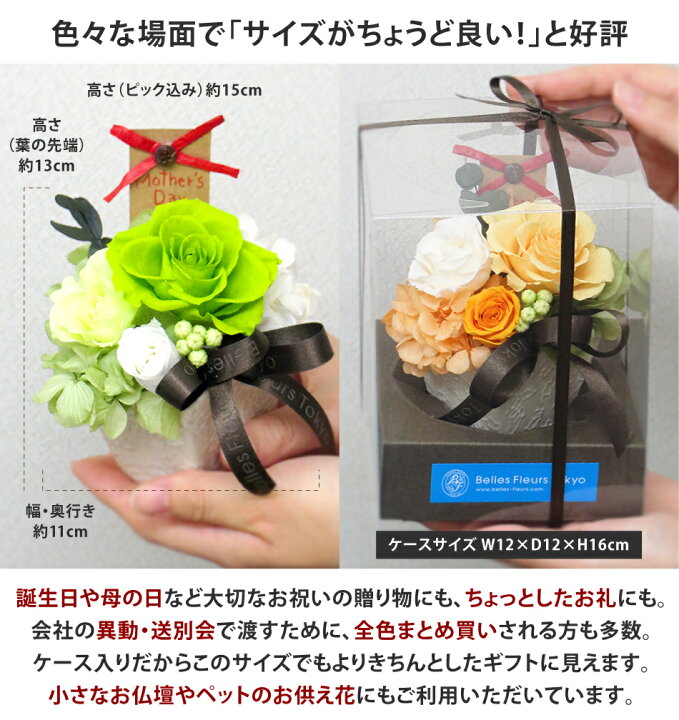 楽天市場 プリザーブドフラワー 誕生日 ブリザード ブリザーブド シュシュ あす楽対応 バラ 女性 花 ギフト プレゼント ブリザード ブリザーブド 敬老 誕生日 結婚 発表会 新築 退職 異動 内祝い 送別会 お供え ペット ミニ ケース入り オーダー可能 Arg