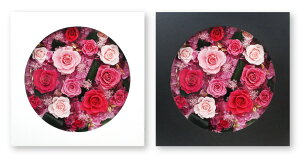 vU[uht[ Mtg t[ Ǌ| a  v[g uU[uh OPEN frm v[g J JX Vz ސE ٓ j @l ACj lC I[_[\   o