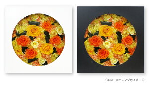 vU[uht[ Mtg t[ a  Mtg v[g uU[uh OPEN frm CeA _ @l AC J JX Vz ސE ٓ j I[_[\   o1