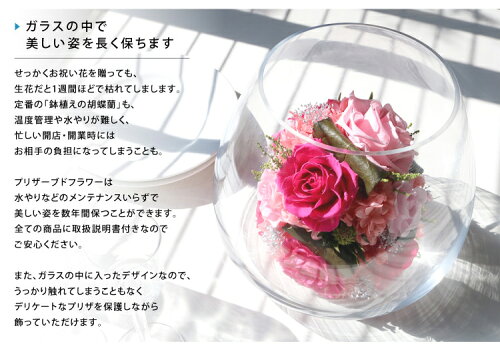 楽天市場 プリザーブドフラワー 誕生日 ブリザード ブリザーブド ガラス入り ダンケ 送料無料 Arg 花 ギフト プレゼント 開業 開店 新築 退職 異動 内祝い 歓送迎 ケース入り オーダー可能 納期 15営業日 還暦 古希 喜寿 米寿 女性 男性 社長就任 就任祝い 周年