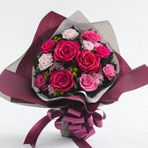 vU[uht[ JƏj  J@j NjbN 1N Mtg o ԑ v|[Y a v[g u[P  ސE j җ } LO I Ê  Ď AC o