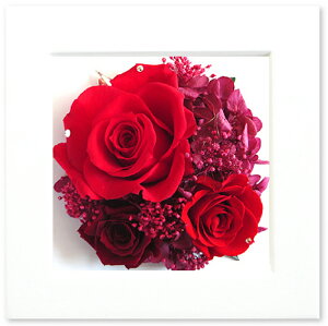 vU[uht[ Mtg P[X a ̓  t[ AW CXg[t v[g hV  J JX Vz ސE ٓ j LO  NX^t[