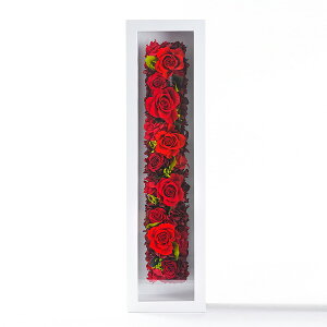 JƏj vU[uht[   J@j NjbN 1N NLO Mtg P[X a v[g KX t[ Ǌ| @l rWlX J JX Vz ސE ٓ