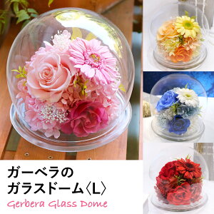 プリザーブドフラワーの通販 価格比較 価格 Com
