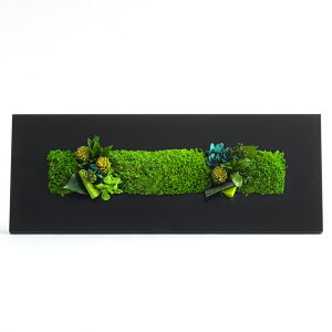 vU[uht[ ̓ Mtg a_ P[X a  ~ t[  v[g Ǌ| CeA j J JX Vz j ސE } LO vU t[Mt