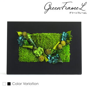 vU[uht[ ̓ a_ NLO  Mtg P[X a  ~ t[ v[g Ǌ| CeA j J JX Vz j ސE } LO vU