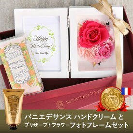 楽天市場 ゼラニウム 種 花 観葉植物 花 ガーデン Diy の通販