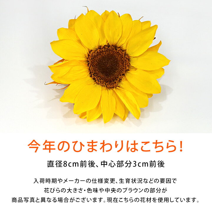 楽天市場 プリザーブドフラワー 誕生日 ブリザード ブリザーブド ヒマワリ 向日葵 ひまわりアレンジ Arg あす楽対応 花 ギフト プレゼント 母の日 父の日 敬老 7月 8月 誕生日 結婚 両親贈呈 開業 開店 新築 退職 異動 内祝い 歓送迎 ケース入り オーダー可能