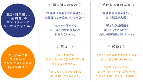 楽天市場 プリザーブドフラワー 誕生日 ブリザード ブリザーブド ヒーリング M L 立て札ok 送料無料 Arg 花 ギフト プレゼント 開業 開店 新築 退職 異動 内祝い 歓送迎 オーダー可能 出荷 5営業日 プリザーブドフラワーベルフルール