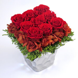 vU[uht[ Mtg P[X CXg[t a  o Mtg v[g J JX Vz ސE ٓ j @l ACj rWlX ̓ ̓ o3cƓ C^