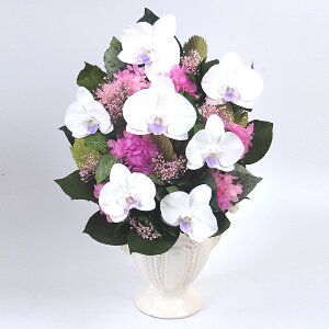 vU[uht[ o Ӓ v[g NjbN 1N JƏj     P[X a @l JX Vz ސE     l\ d  ~