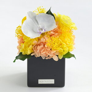 ̓ vU[uht[ Mtg P[X~j a  j  Ӓ v[g vU JƏj JXj Vzj ސEj ̓ j LO LO  ~ V