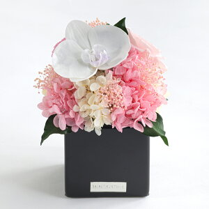 ̓ vU[uht[ Mtg P[X~j a  j  Ӓ v[g vU JƏj JXj Vzj ސEj ̓ j LO LO  ~ V