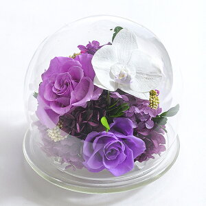 vU[uht[ P[X KXh[ җj j  җ Ύ Ê   P Ď j v[g  Ӓ h[ 傫   p Mtg P[X 