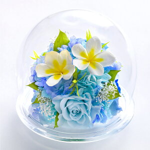 vU[uht[ Mtg P[X KXh[ sN F  nC j a  vA v[g uU[uh ̓ ̓ J JX Vzj ސEj ٓ j