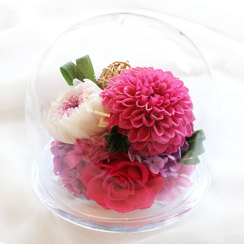 楽天市場 クリスマス プレゼント 花 プリザーブドフラワー ダリアと輪菊のガラスドーム L 出荷 3営業日 送料無料 Arg 花 ギフト 誕生日 結婚 両親贈呈 開業 開店 新築 退職 異動 内祝い 歓送迎 ミニ 小 ドーム ケース入り プリザーブドフラワーベルフルール