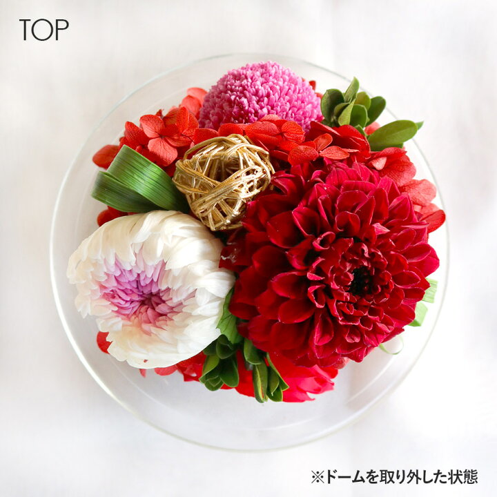 楽天市場 クリスマス プレゼント 花 プリザーブドフラワー ダリアと輪菊のガラスドーム L 出荷 15営業日 送料無料 Arg 花 ギフト 誕生日 結婚 両親贈呈 開業 開店 新築 退職 異動 内祝い 歓送迎 ミニ 小 ドーム ケース入り プリザーブドフラワーベルフルール