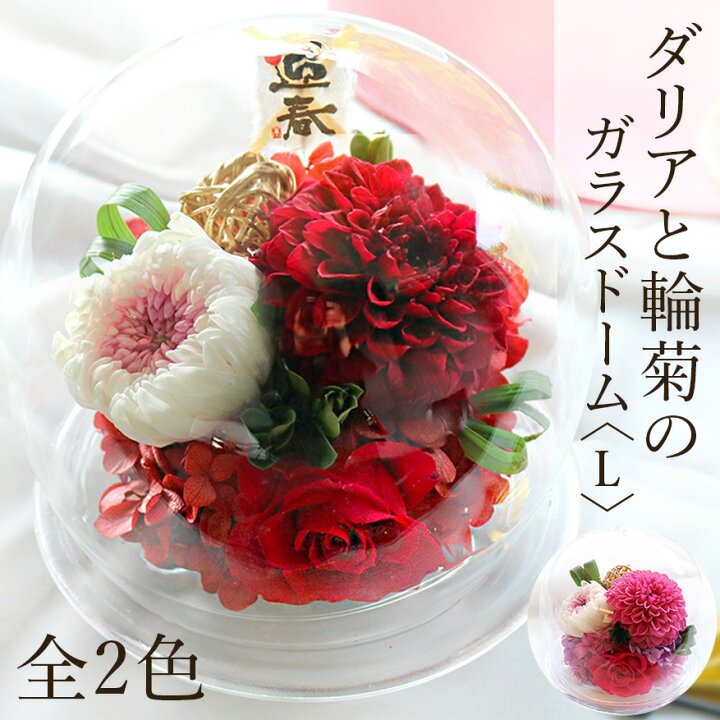 楽天市場 クリスマス プレゼント 花 プリザーブドフラワー ダリアと輪菊のガラスドーム L 出荷 15営業日 送料無料 Arg 花 ギフト 誕生日 結婚 両親贈呈 開業 開店 新築 退職 異動 内祝い 歓送迎 ミニ 小 ドーム ケース入り プリザーブドフラワーベルフルール
