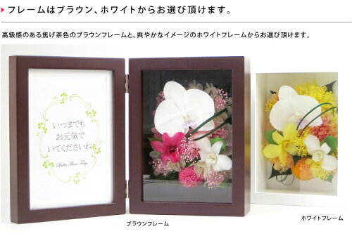 楽天市場 プレゼント 花 プリザーブドフラワー 写真立て 胡蝶蘭プリフォトフレームl送料無料 花 ギフト プレゼント 母の日 父の日 誕生日 結婚祝い 内祝い 両親贈呈 Jitsuyo Cover 花 Frm ケース入り オーダー可能 名入れ 文字入れ 出荷 3営業日