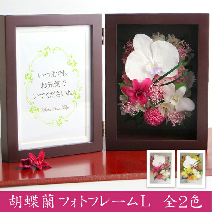 楽天市場 プリザーブドフラワー 写真立て 誕生日 ギフト 花 プレゼント ブリザーブド 胡蝶蘭プリフォトフレームl あす楽対応 送料無料 花 ギフト プレゼント 母の日 父の日 敬老 誕生日 新築 内祝い 仏花 仏壇 お供え 胡蝶蘭 デンファレ 結婚祝い 米寿 還暦 退職祝い